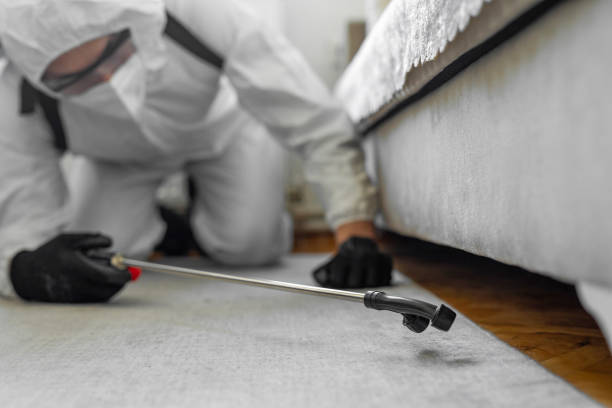 Professional Cockroach Control technician working in Moreland, ID